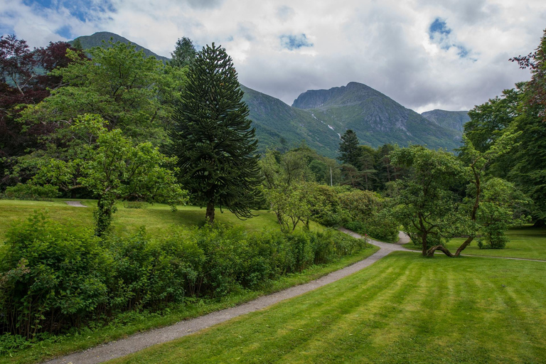Bergen: Cruise to beautiful Rosendal by the Hardangerfjord