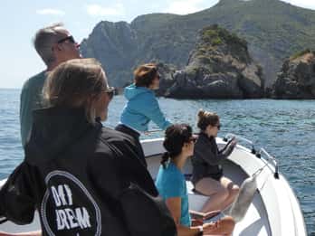 Sesimbra: tour en barco por las playas y cuevas de Arrábida con snorkel