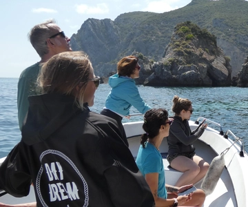 Sesimbra : Tour en bateau des plages et grottes d'Arrábida avec plongée en apnée