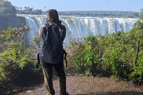 Victoria Falls: Historic Town Tour, Big Tree & Guided Walk