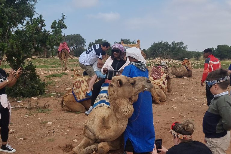 Sunset Buggy Adventure with Camel Ride and Moroccan Tea Shared Buggy Offer