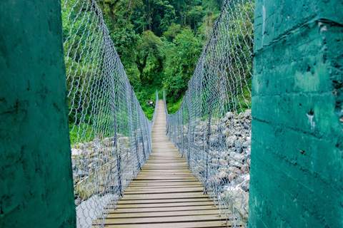 4 Days Queen Elizabeth Park Safari & Ruwenzori Mountain View
