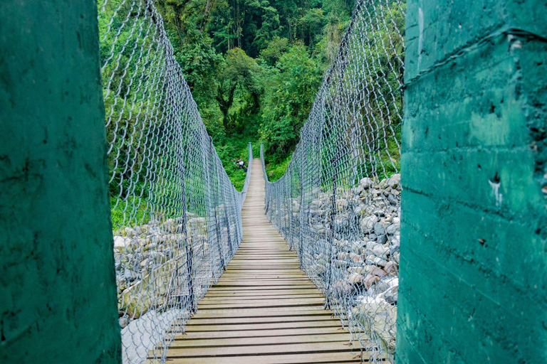 4 Days Queen Elizabeth Park Safari & Ruwenzori Mountain View
