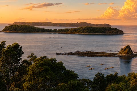 Auckland: VIP Private Motuora Island Kayak & Kiwi Encounter - Image 2