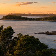 Auckland: VIP Private Motuora Island Kayak & Kiwi Encounter