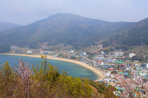 Busan to Geoje: Seascapes & Windy Hills Tour