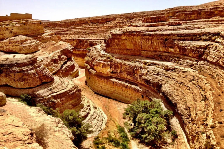 4-Day Tunisia South & Sahara Tour