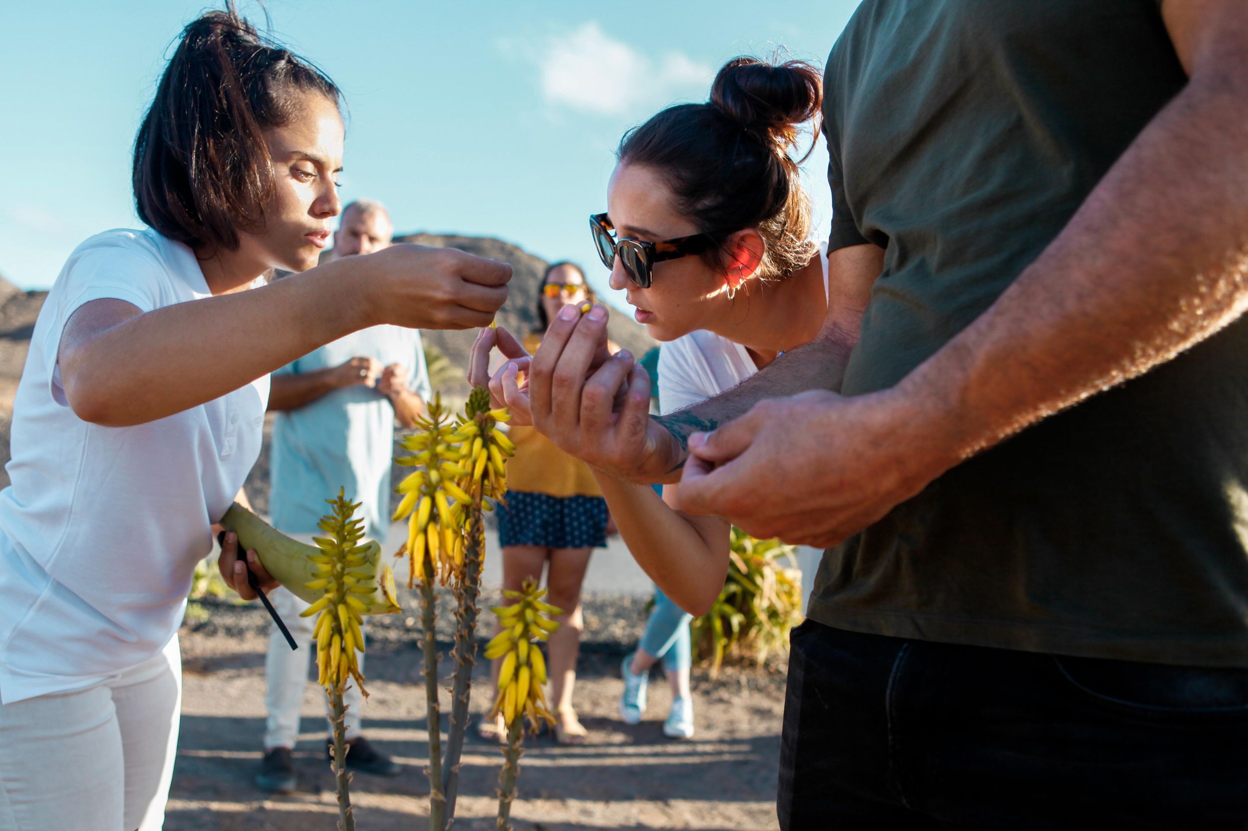 Tour zu einem Bio-Bauernhof auf Fuerteventura: Aloe Vera & lokale Verkostung