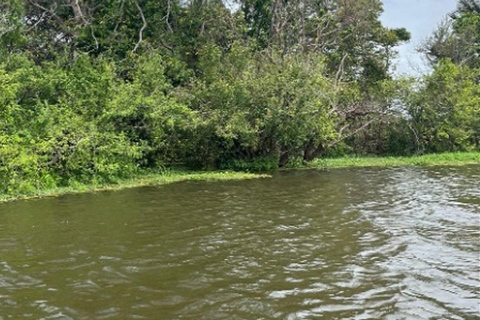 Jari Canal and Flavors of Vitória-Régia: Amazon River Experience