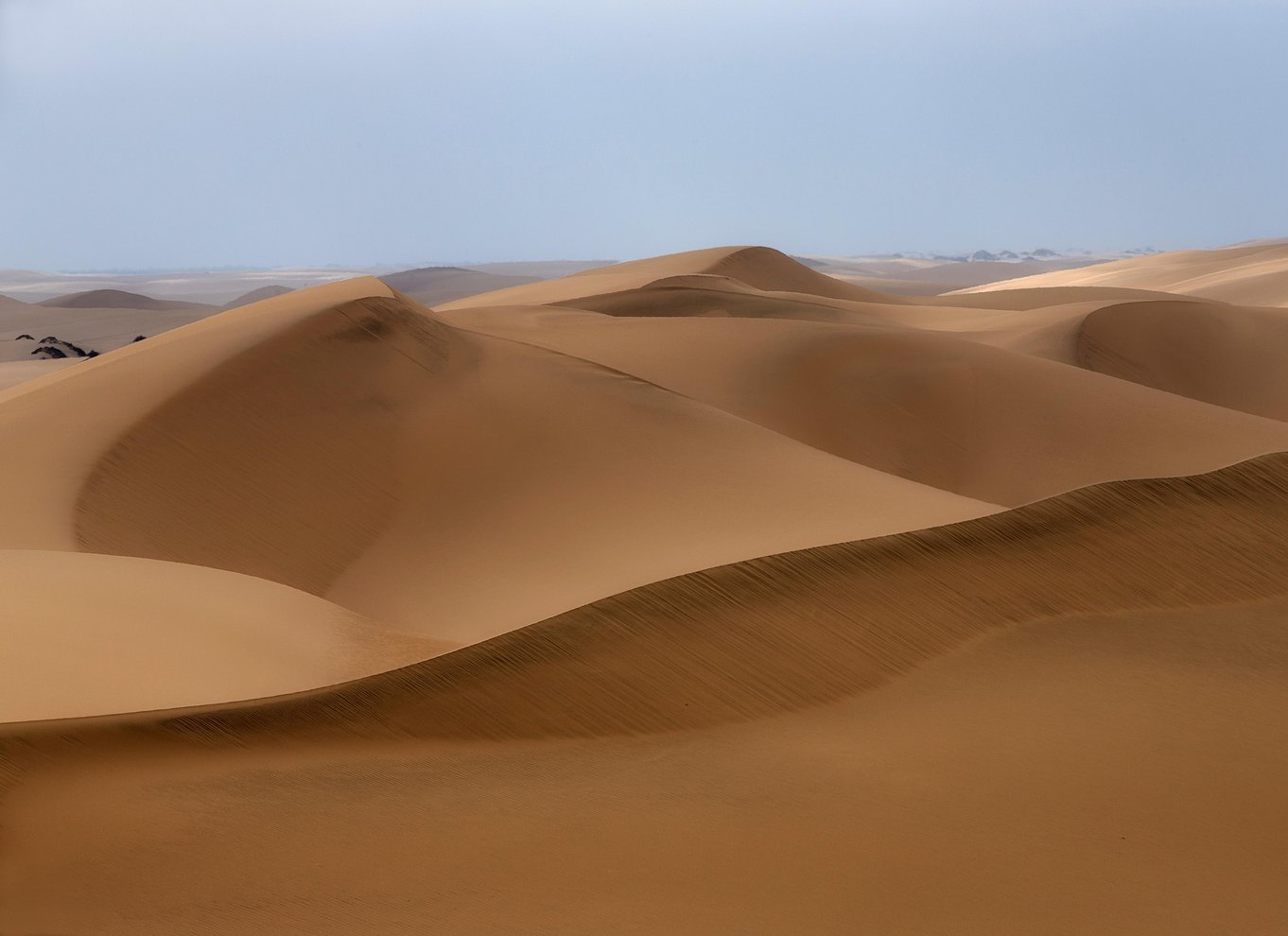 Walvis Bay: 4x4 ørkenudflugt til Sandwich Harbour Bay