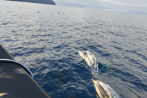 رحلات بالقارب إلى جزيرة كورفو