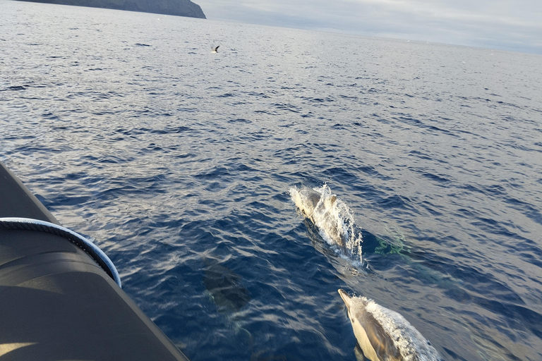 رحلات بالقارب إلى جزيرة كورفو