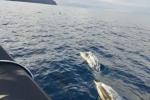 Boat trips to Corvo Island