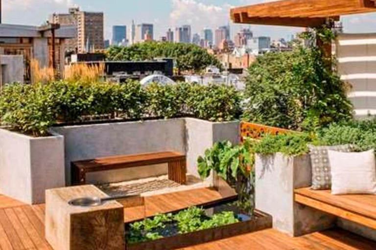 Senegal: Rooftop With Gourmet Tasting Tour