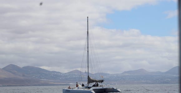 Lanzarote: Whale and Dolphin Watching Eco-Friendly Catamaran