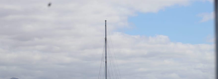 Lanzarote : Observation des baleines et des dauphins à bord d'un catamaran écologique