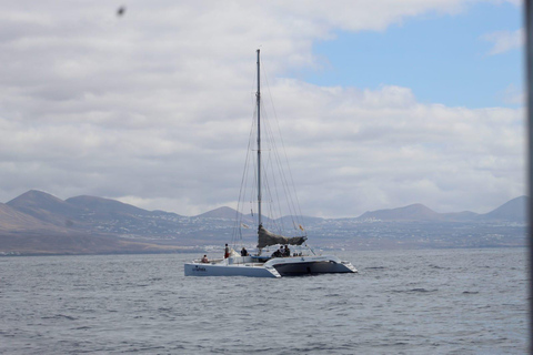 Lanzarote: Osservazione di balene e delfini in catamarano ecologico