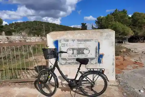 Ibiza: Salines Bike Tour, um Flamingos und Salz zu sehen