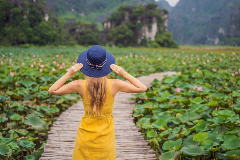 From Hanoi: Ninh Binh- Hoa Lu-Tam Coc- Mua Cave- Highlight