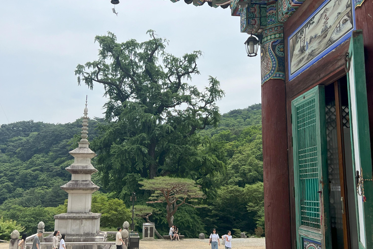 Dagsutflykt i Yangpyeong:Natur, konst och café i Yangpyeong