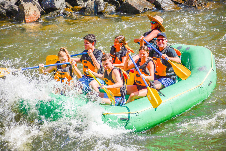 Colorado: Guided Colorado River Rafting Half Day Trip