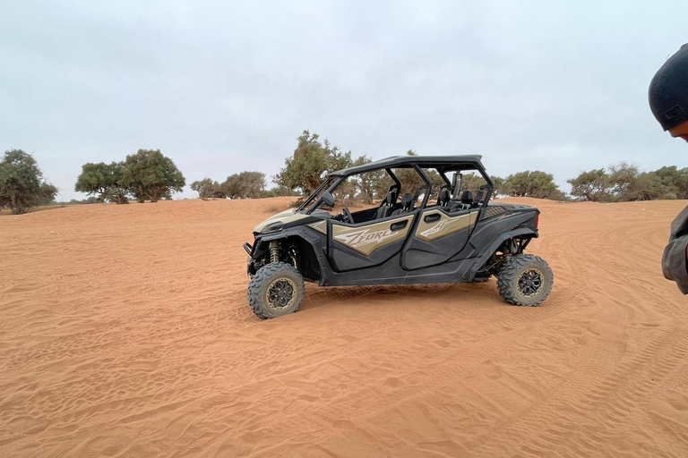 Agadir: Family 4-Seater Buggy Forest Safari