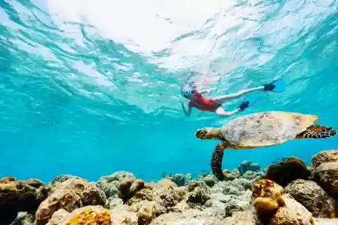 los cabos arch tour & drinks +snorkel tour