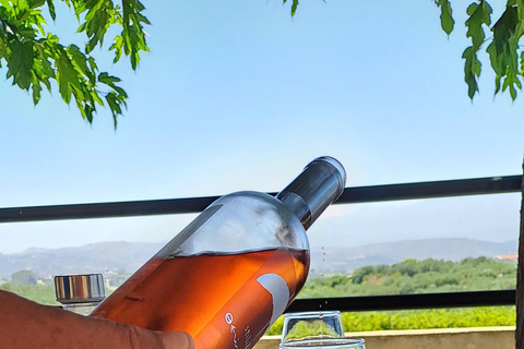 Kreta: Pałac Knossos, winiarnia i oliwa z oliwek z lunchem