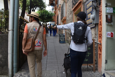 Huauchinango: Zwiedzanie miasta, zapora Necaxa i plantacje kawy