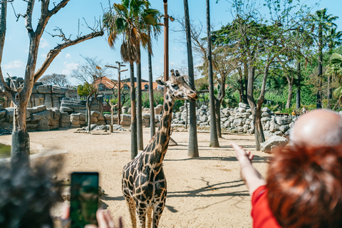 Barcelona: 1-Day Ticket to Barcelona Zoo