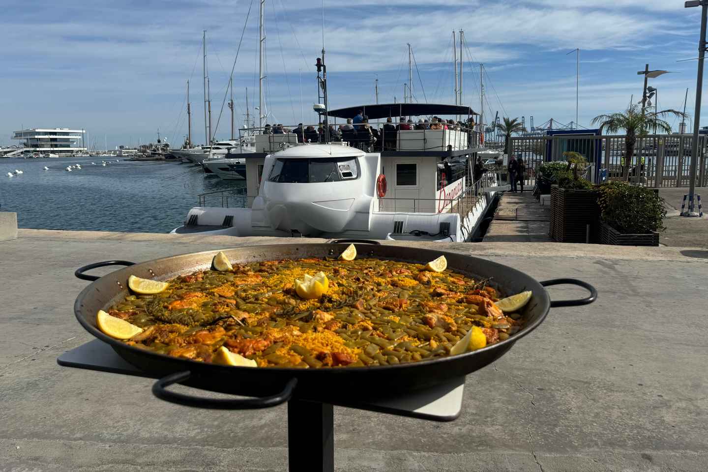 Valencia: Catamaran Cruise, Paella Lunch and Swim Stop