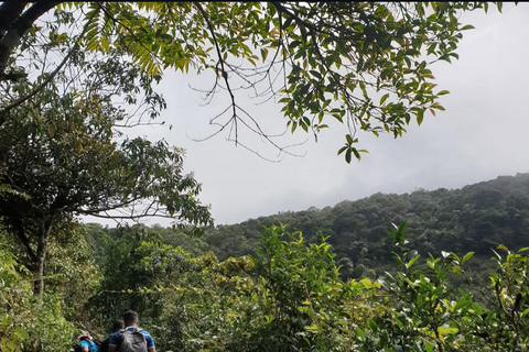 From Kandy To Secret Sri Lankan: Nature, Tea & Gems Day Tour