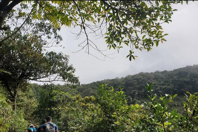 From Kandy To Secret Sri Lankan: Nature, Tea & Gems Day Tour