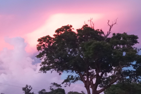 Vanuatu: Tanna Coffee Factory Tour and Pele Island Trip