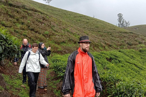 From Kochi:- 02 Days Munnar Hill Station & Nature Walk Tour 02 Days Munnar and Nature Walk Tour with 05- Star Hotel