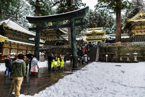 Porta di lusso di Nikko; tour privato guidato