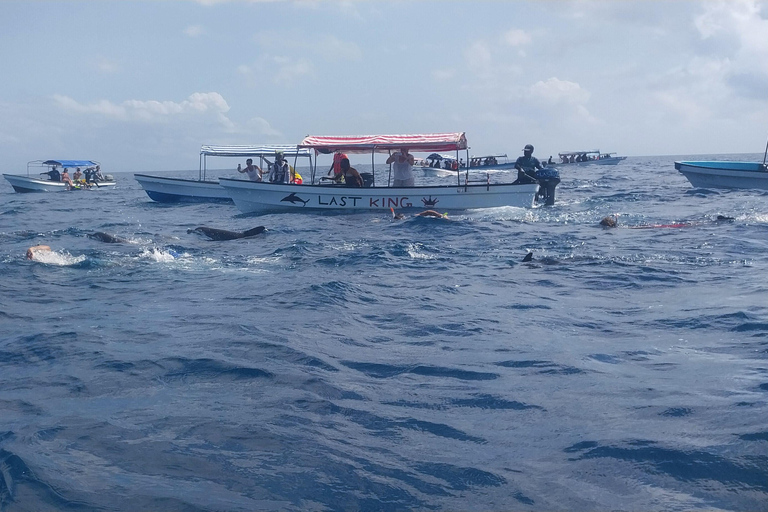 桑给巴尔：姆内姆巴岛浮潜和海豚之旅私人：姆内姆巴岛浮潜和海豚
