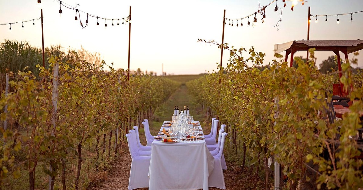 Cena Rom Ntica En El Vi Edo De La Bodega Poggio Ai Laghi Getyourguide