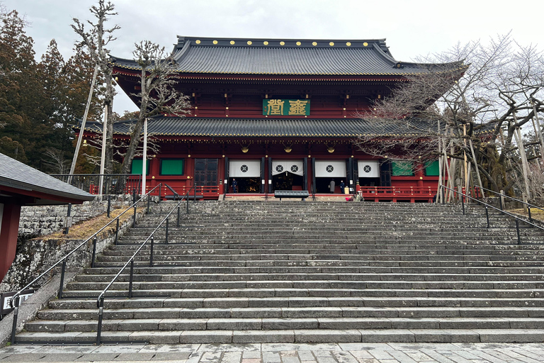 Tokio naar Nikko werelderfgoed dagtour met Engelse gids