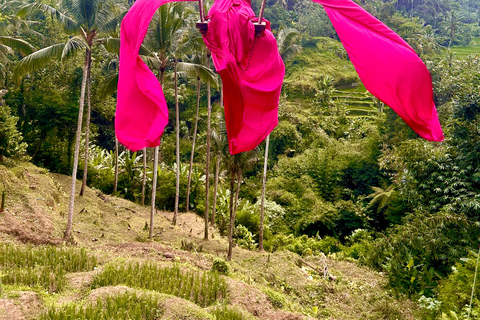 Ubud Waterfall, Temple, Rice Terrace & Art with Transfers