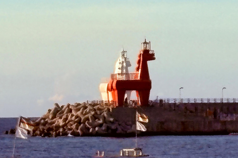 Jeju Trendy Café Tour including Hello Kitty Island