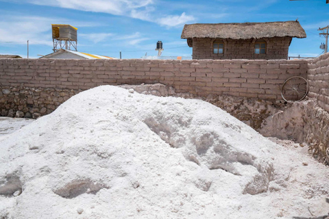 Ein-Tages-Tour (Uyuni Salt Flats)