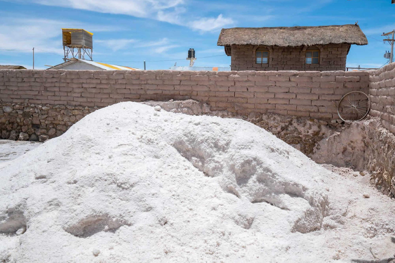 Ein-Tages-Tour (Uyuni Salt Flats)