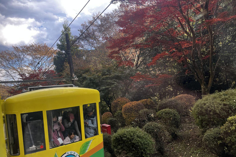 Mount Takao Adventure: Discover Nature & Tradition in Tokyo