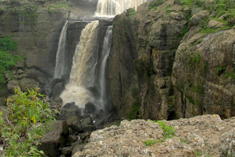 From Addis Ababa: Debre Libanos Monastery and Blue Nile …