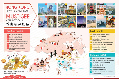 Lantau Tour | Private Permitted Vehicle & Local Driver-Guide 9 Hours Lantau Tour | 7-Seater - Max for 6