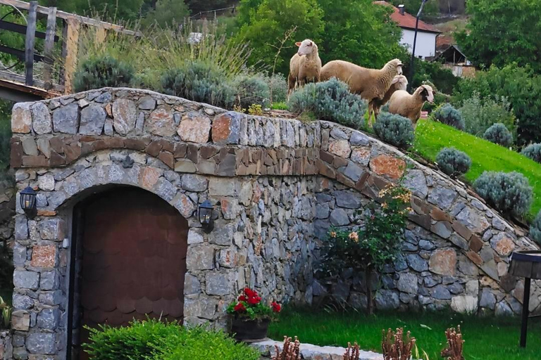 奥赫里德：巴拉克利亚蒸馏厂传统拉基亚品鉴奥赫里德：巴拉克利亚传统拉基亚酒厂品鉴