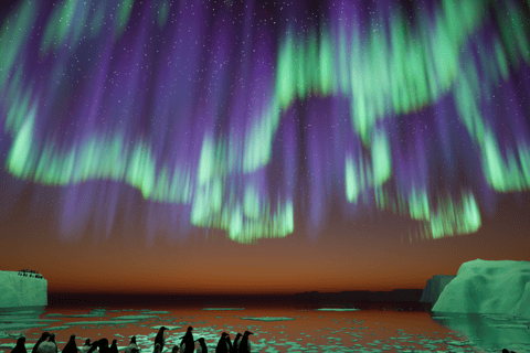 Copenhagen: Arctic Hologram Show at HologramZoo