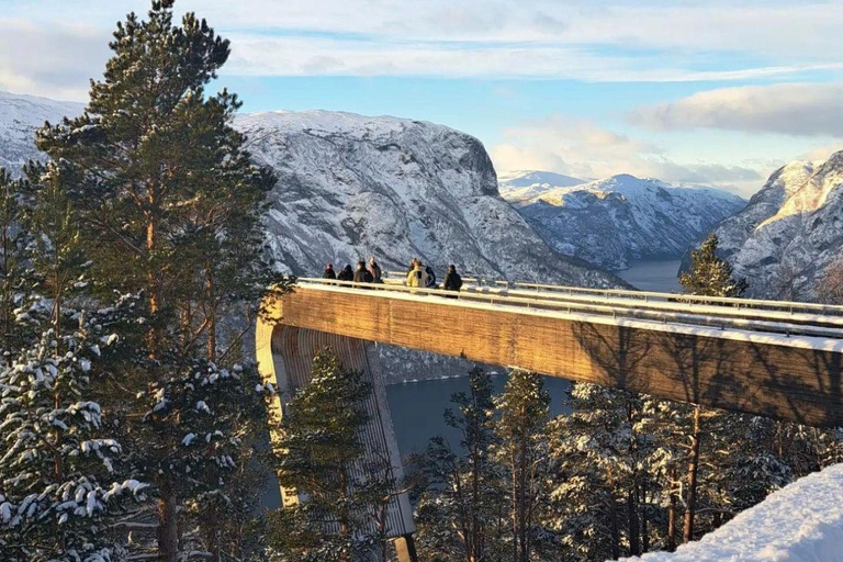Flåm: Stegastein Viewpoint Scenic Bus Tour