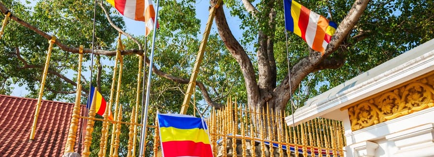 Visite d'une journée en Tuk Tuk de la cité antique d'Anuradhapura
